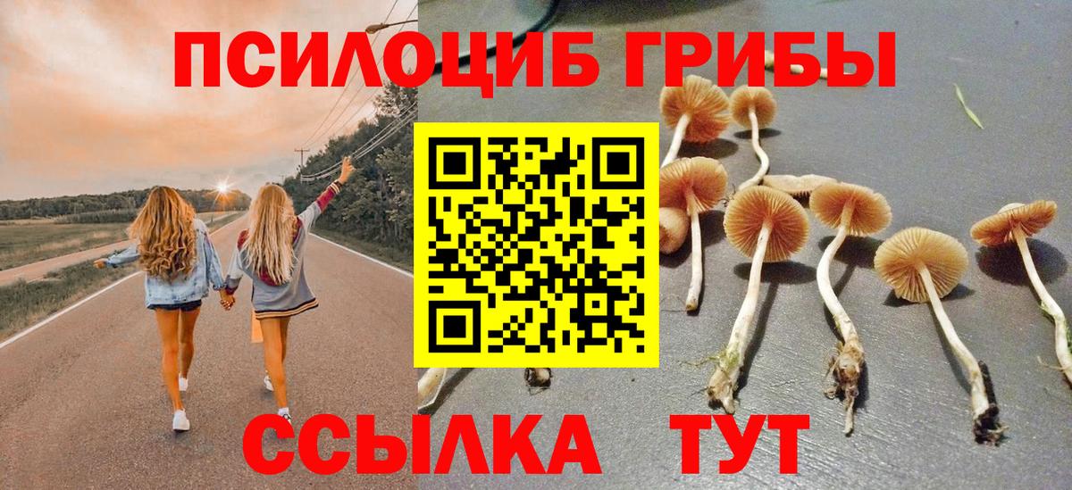 Псилоцибиновые грибы Magic Shrooms Ноябрьск