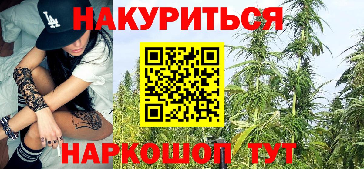 Марихуана семена  Вход с VPN  Бошки Шишки SATIVA & INDICA  Ноябрьск 